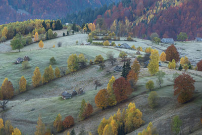 Scenic view of landscape during autumn