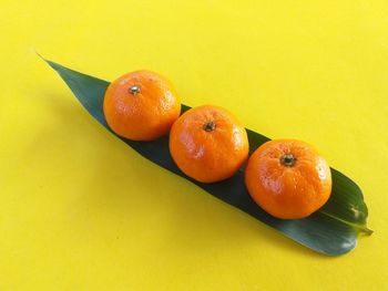 High angle view of orange fruits