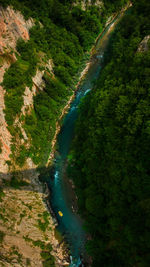 High angle view of stream amidst trees