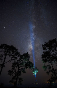 Low angle view of trees against sky at night