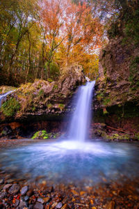 Scenic view of waterfall in forest