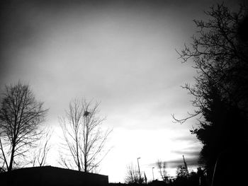 Low angle view of bare trees against sky