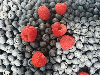 High angle view of strawberries