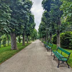 Empty bench in park