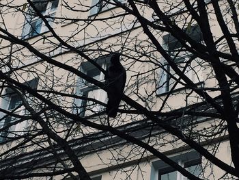 Low angle view of bare trees