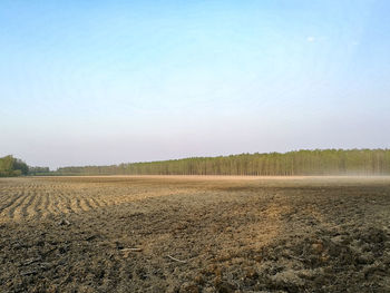 Scenic view of agricultural field against clear sky