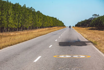 Road amidst trees and plants against sky