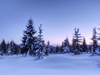 Winter in mountains. fresh powder snow in mountains. minute before sunset. chill evening.