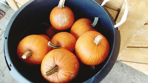 Close-up of pumpkins