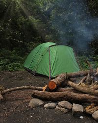 Camping in rainforest.