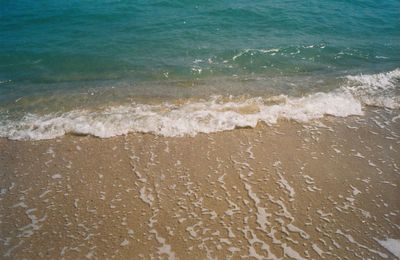 Scenic view of beach