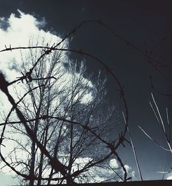 Low angle view of bare trees against sky