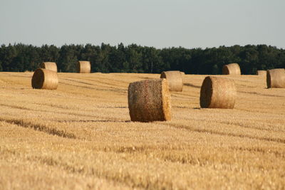 Hay bales on field against sky