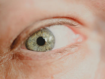 Human blue colored eye, close up photo