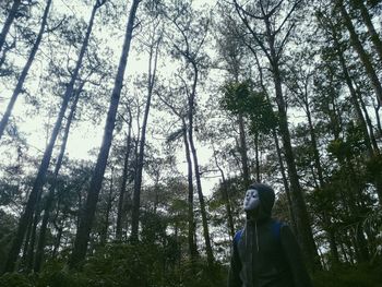 Low angle view of woman standing in forest