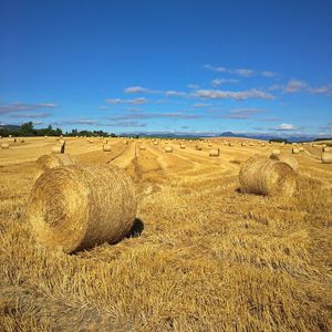 Hay bales on grassy field against sky