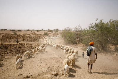 Rear view of man walking on dirt road against sky