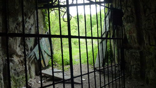 View of trees through window