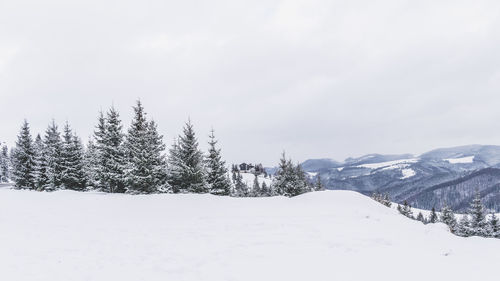 Trees on snow covered landscape against sky