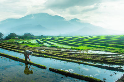 Farmer working on field against mountains and sky