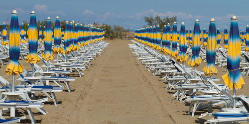 Beach chairs and umbrellas