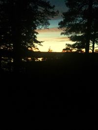 Silhouette trees on landscape against sky at sunset