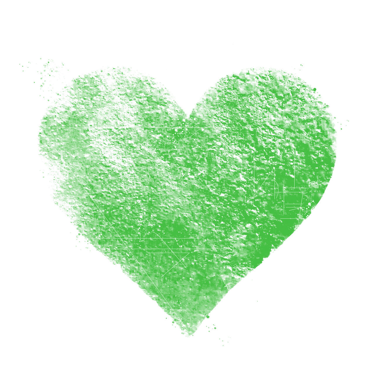 CLOSE-UP OF HEART SHAPE LEAF AGAINST WHITE BACKGROUND