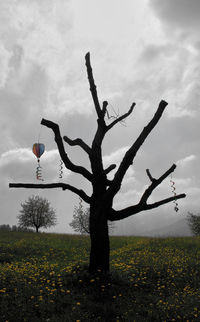 Trees on field against cloudy sky