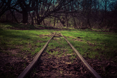 Scenic view of landscape