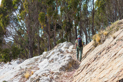 Man standing on rock amidst trees