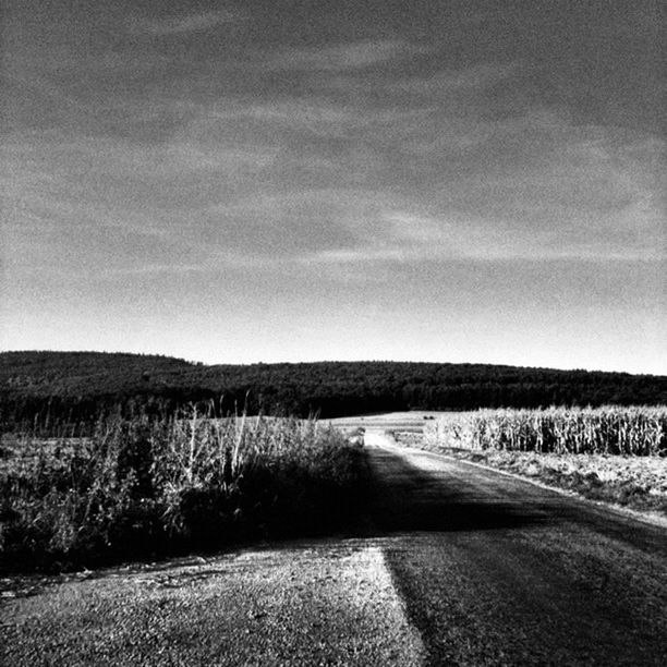 the way forward, road, landscape, country road, field, sky, tranquil scene, diminishing perspective, tranquility, transportation, vanishing point, rural scene, empty road, dirt road, grass, nature, horizon over land, scenics, empty, long