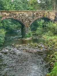 Arch bridge over river amidst trees