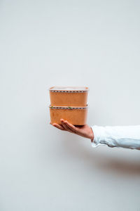 Vertical view of the unknown person holding paper lunchboxes with takeaway food.  background