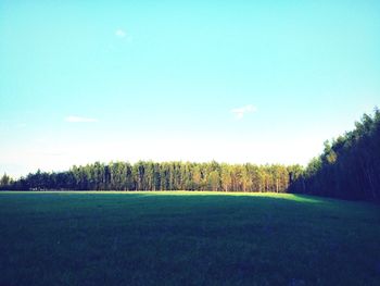 Scenic view of grassy field against clear sky