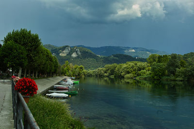 Scenic view of lake by trees against sky