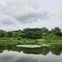 Scenic view of lake in forest against sky