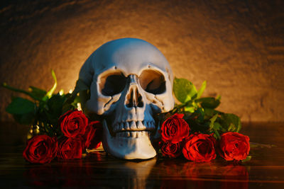 Close-up of roses and skull on table