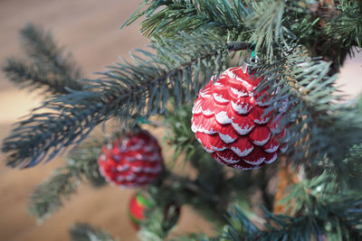 Close-up of christmas tree