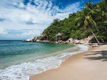 Koh tao island. white sand beach, turquoise sea with tropical bungalow and coconut tree. thailand.