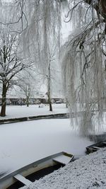 Snow covered trees against sky