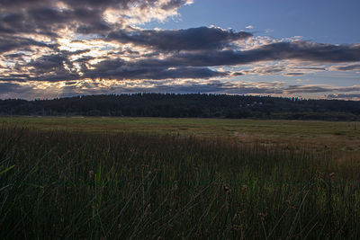 Scenic view of field against sky during sunset