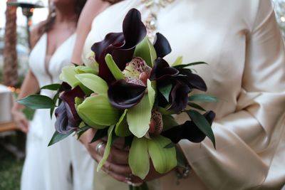 Close-up of orchids