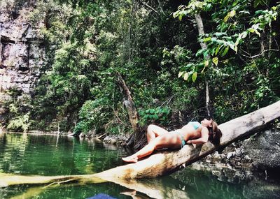 People standing on tree trunk
