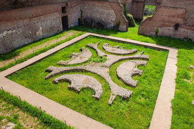 High angle view of plants in park