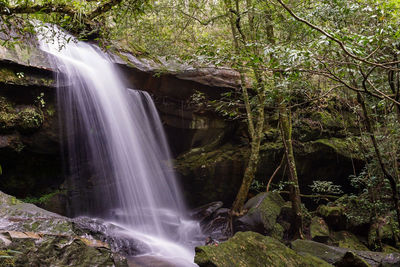 Scenic view of waterfall in forest