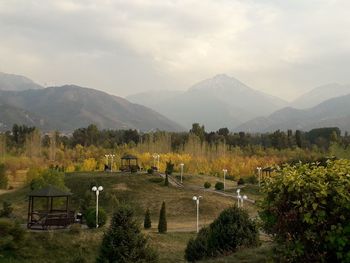 Scenic view of field against sky