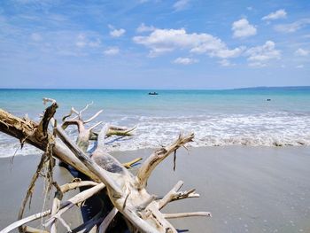 Scenic view of sea against sky