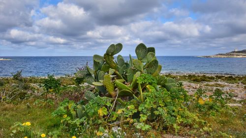 Scenic view of sea against sky