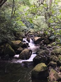 Scenic view of waterfall