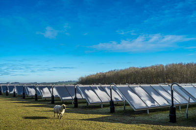 Solar panels at vivild heating